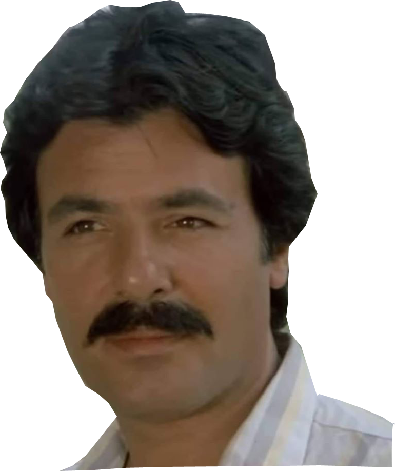 ferdi tayfur.png