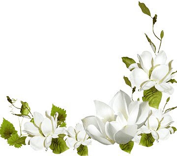 png-transparent-flower-frames-white-flower-flower-arranging-white-wedding-thumbnail-removebg-p...png