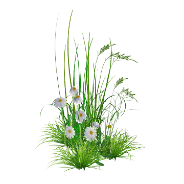 png-transparent-flower-garden-garden-flower-arranging-photography-artificial-flower-thumbnail-...png