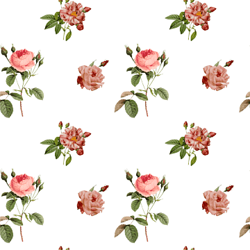 png-transparent-flower-garden-roses-vintage-miscellaneous-flower-arranging-sticker-thumbnail-r...png