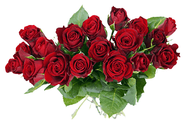 png-transparent-red-roses-illustration-flower-bouquet-rose-bouquet-flower-arranging-artificial...png