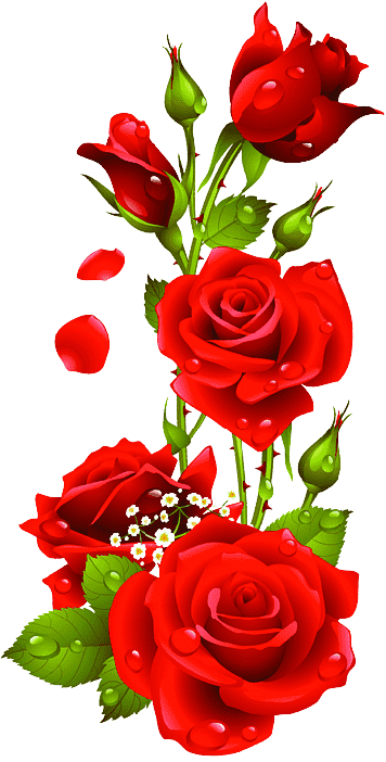 png-transparent-red-roses-illustration-rose-rose-love-flower-arranging-heart-thumbnail-removeb...png