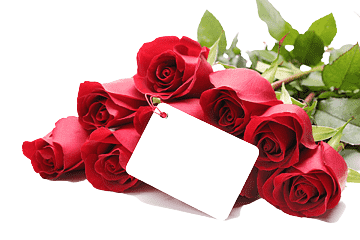 png-transparent-valentine-s-day-propose-day-love-gift-february-14-mothers-day-love-flower-arra...png